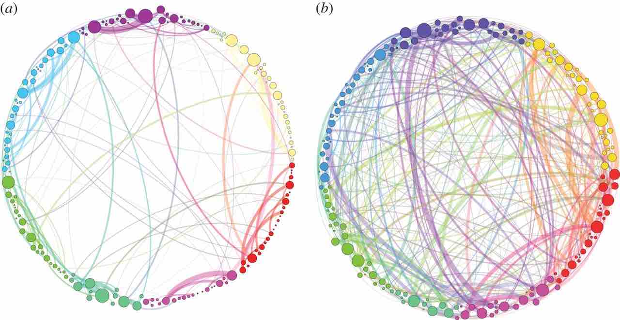 MAgic mushrooms rewiring the brain