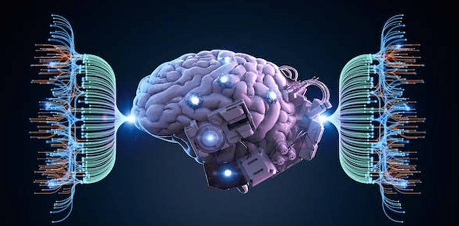 Psychedelic neurohacking course