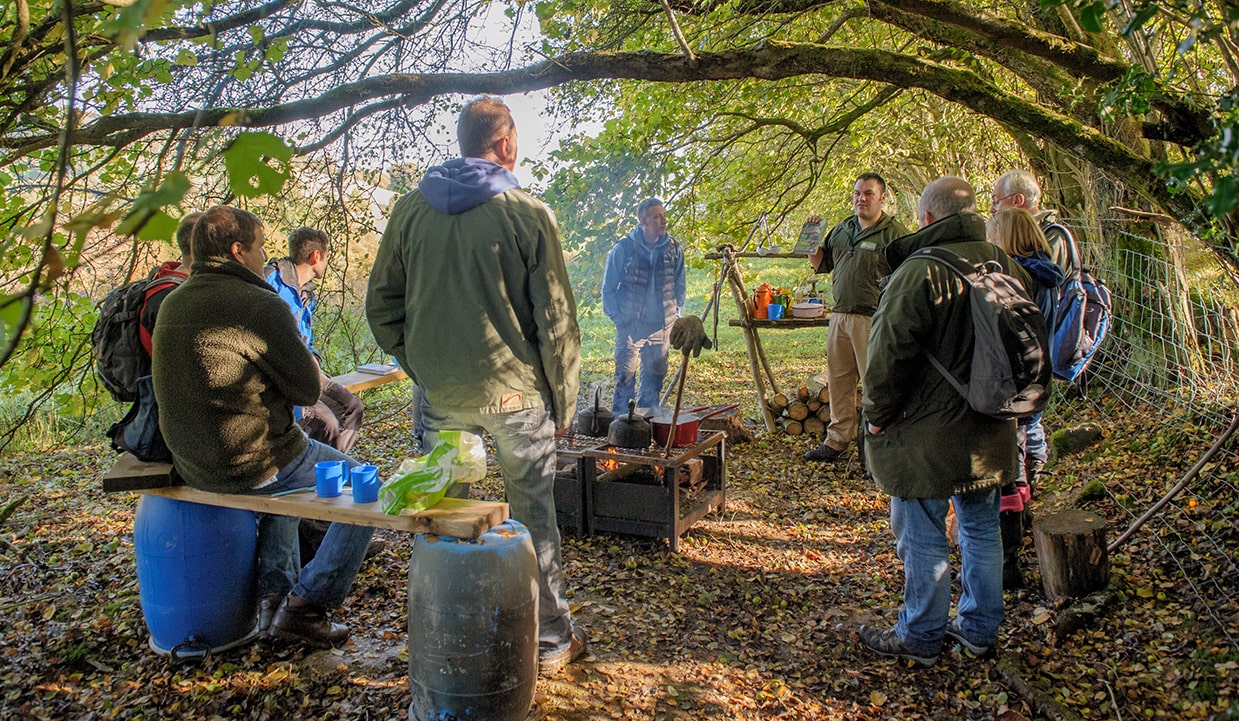 Learn to forage online