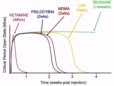 The difference in Europe plastic durations of various psychedelics